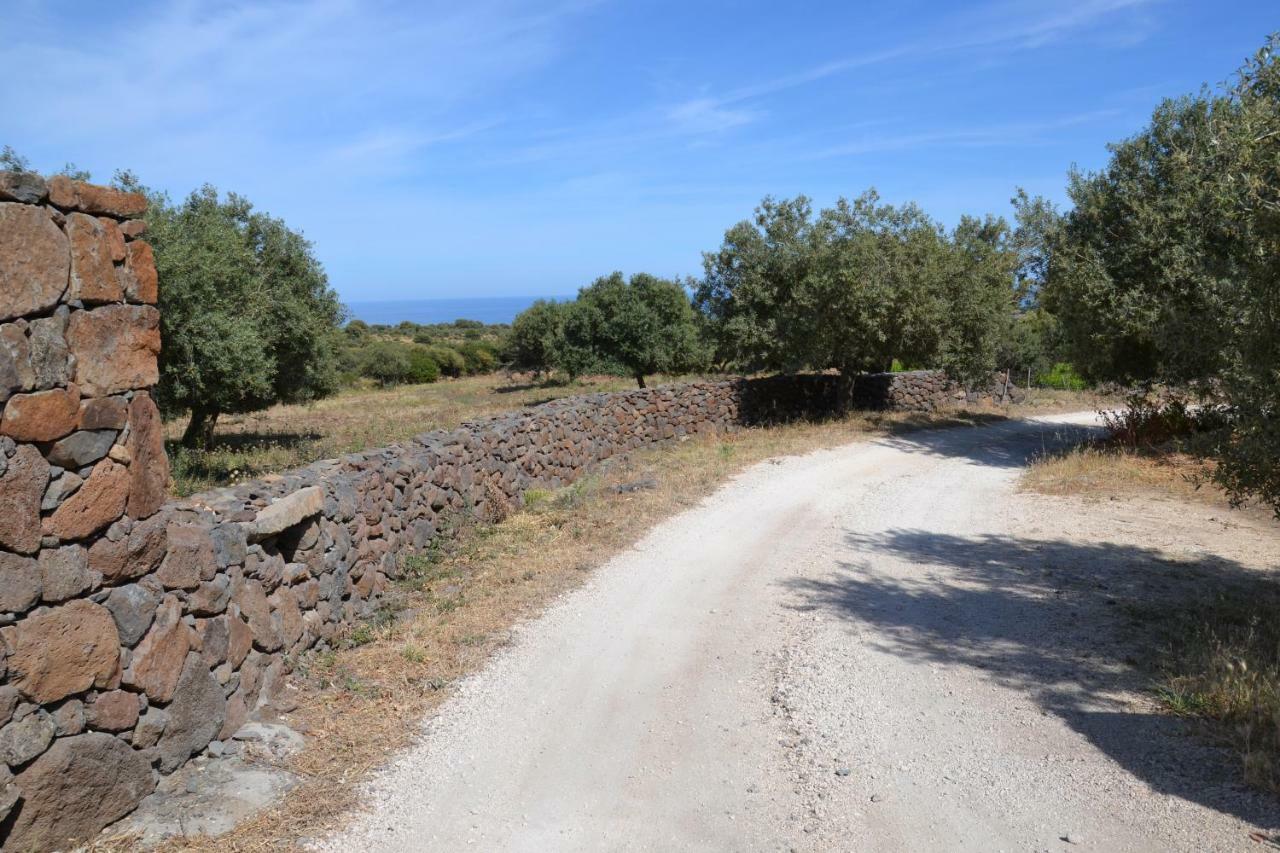 Casa Indipendente Immersa Nel Verde Con Vista Mare Dorgali Luaran gambar